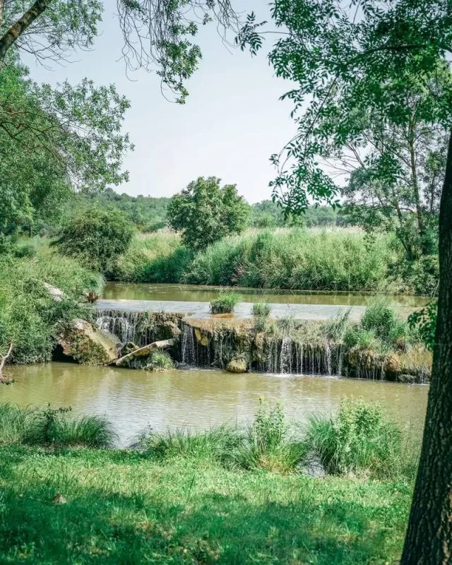 Le moulin, Martignargues, Moulin à Huile Paradis