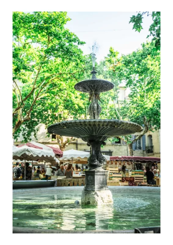 Marché d'Uzès - Place aux Herbes, Martignargues et à Saint-Maximin, Moulin à Huile Paradis