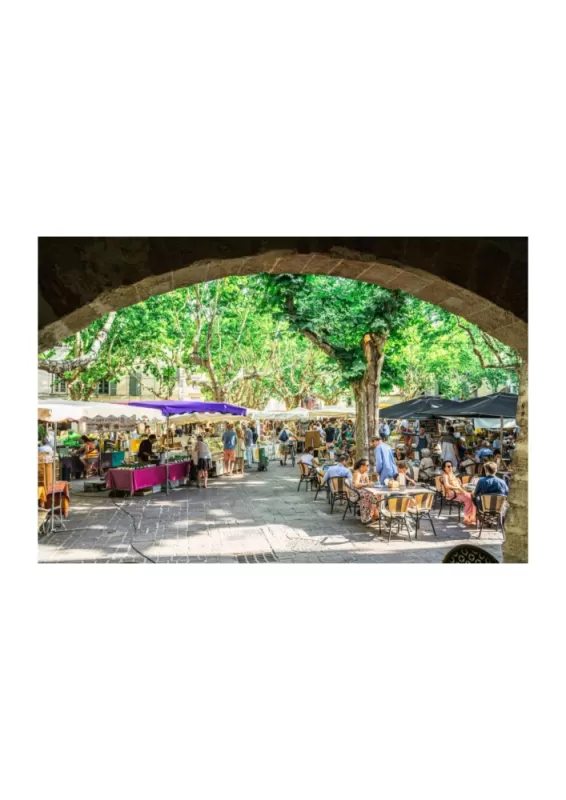 Marché d'Uzès - Place aux Herbes, Martignargues et à Saint-Maximin, Moulin à Huile Paradis