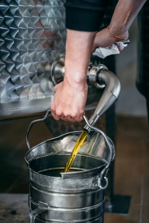 Présentation de votre producteur d'huile d'olive, Martignargues et à Saint-Maximin, Moulin à Huile Paradis