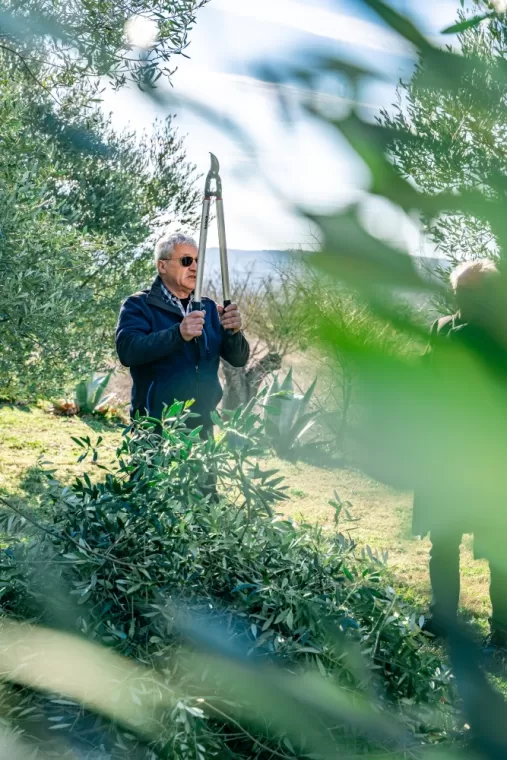 Retour en images sur la démonstration de taille, Martignargues et à Saint-Maximin, Moulin à Huile Paradis