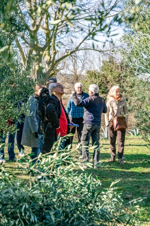 Retour en images sur la démonstration de taille, Martignargues et à Saint-Maximin, Moulin à Huile Paradis