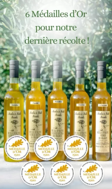Médailles d'or Concours Général Agricole de PARIS 2025, Martignargues et à Saint-Maximin, Moulin à Huile Paradis