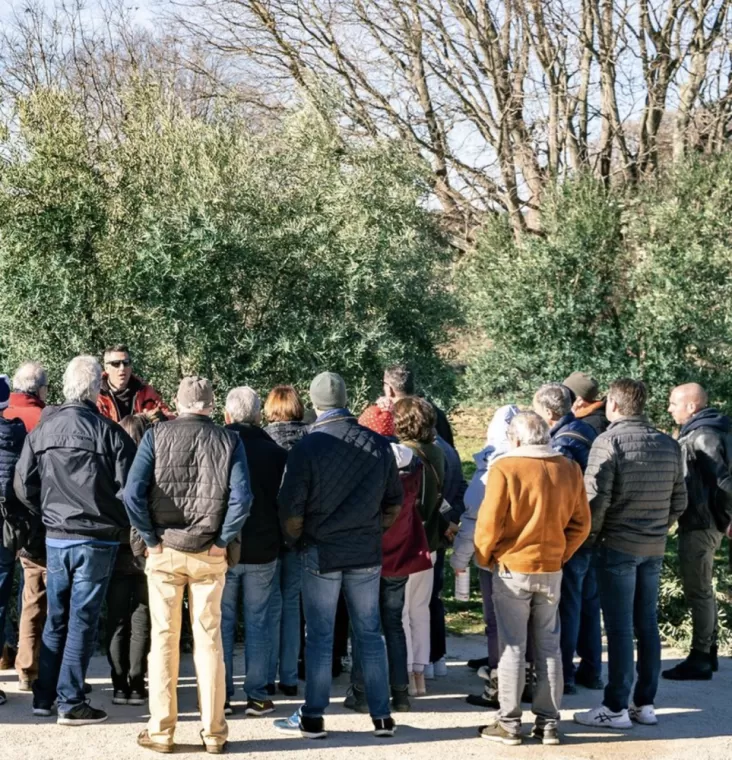 Retour en images sur la démonstration de taille, Martignargues et à Saint-Maximin, Moulin à Huile Paradis