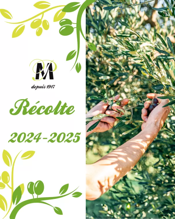 ? Ouverture de la campagne 2024/2025 ?, Martignargues et à Saint-Maximin, Moulin à Huile Paradis