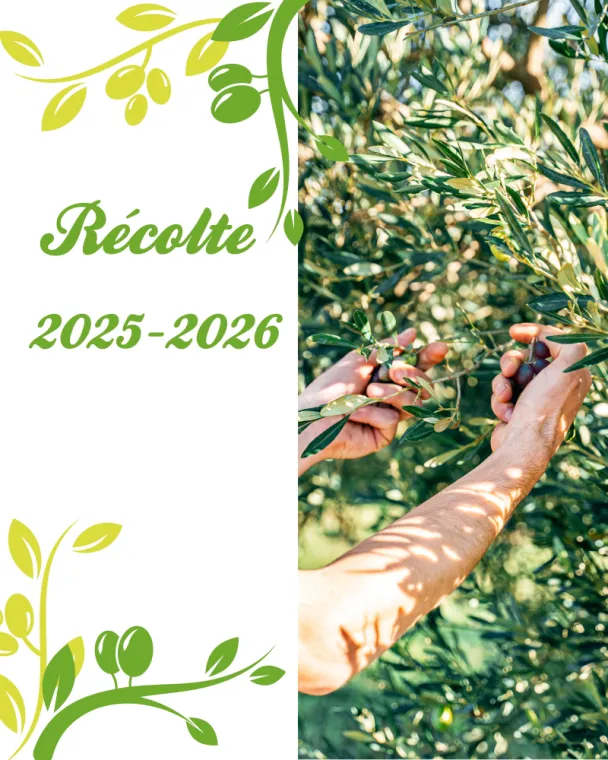 Ouverture de la campagne 2025/2026, Martignargues et à Saint-Maximin, Moulin à Huile Paradis